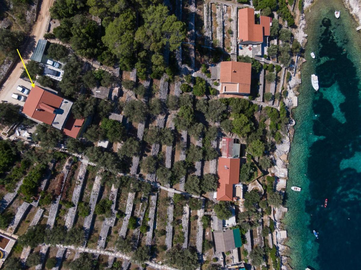 Вилла Olive'S Garden House Вела-Лука Экстерьер фото